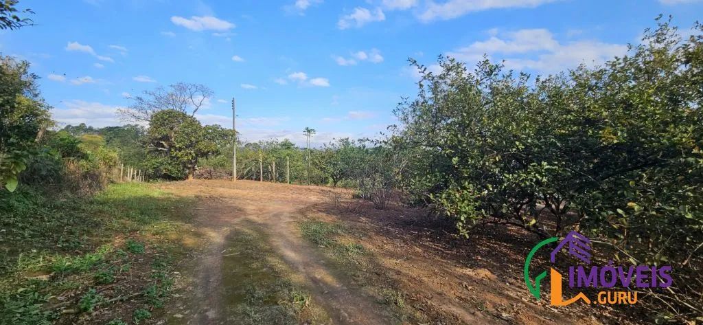 SÍTIO - VILA CAPUAVA - SP - Foto 4