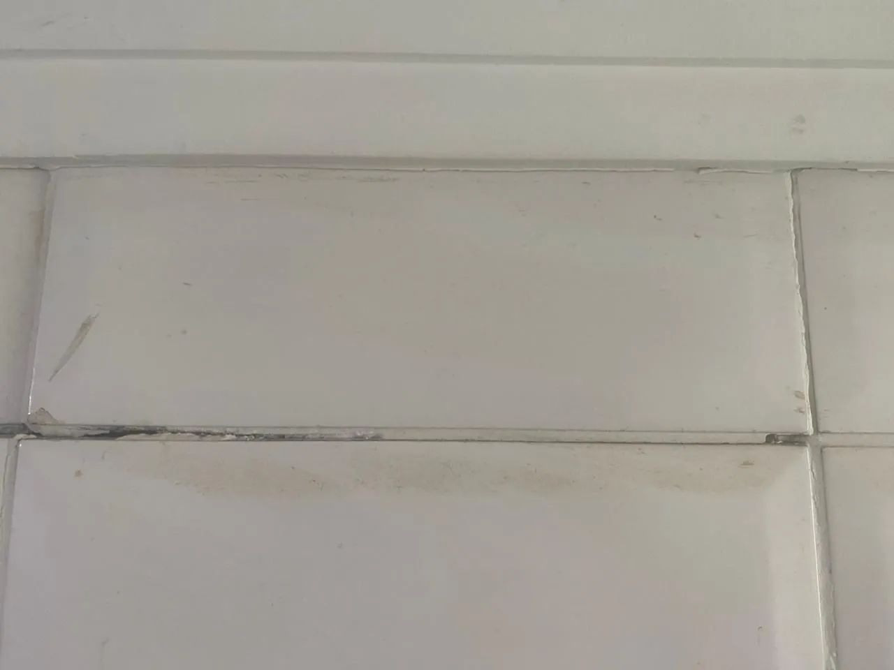 Azulejista profissional 