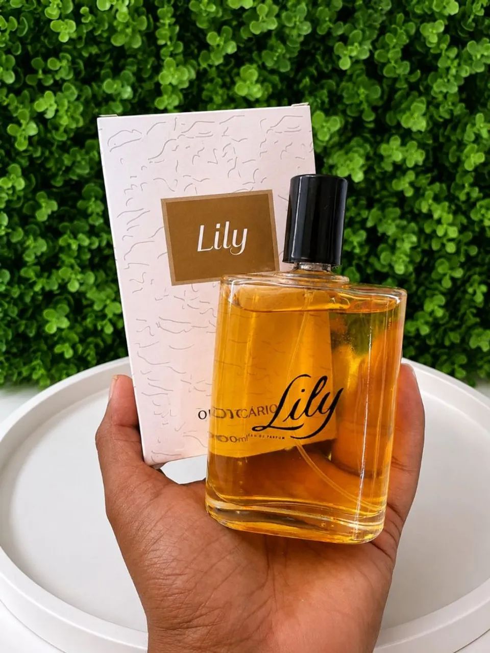 Kit com 2 Perfumes 100ml <br>Similares 