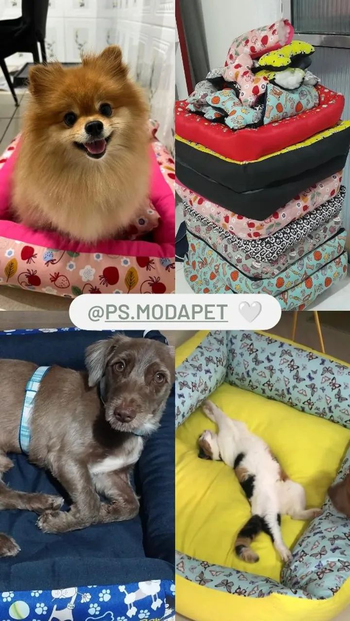 Camas pet  + almofadas de brinde - Foto 5