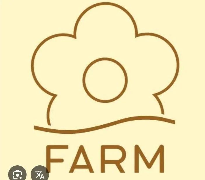 BAG FARM NOVA ORIGINAL  - Foto 3