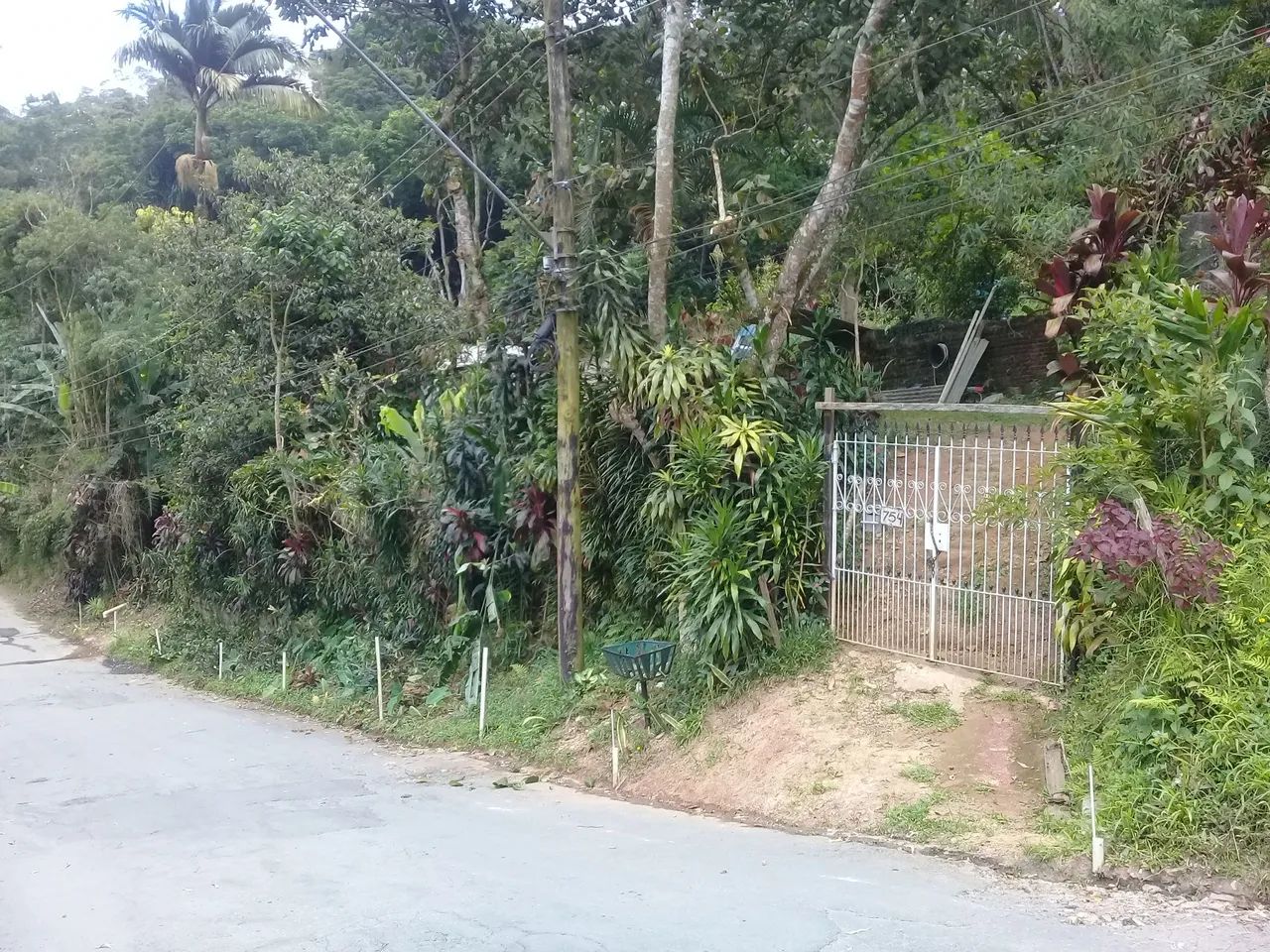 Foto - Santo André - Recreio da Borda do Campo