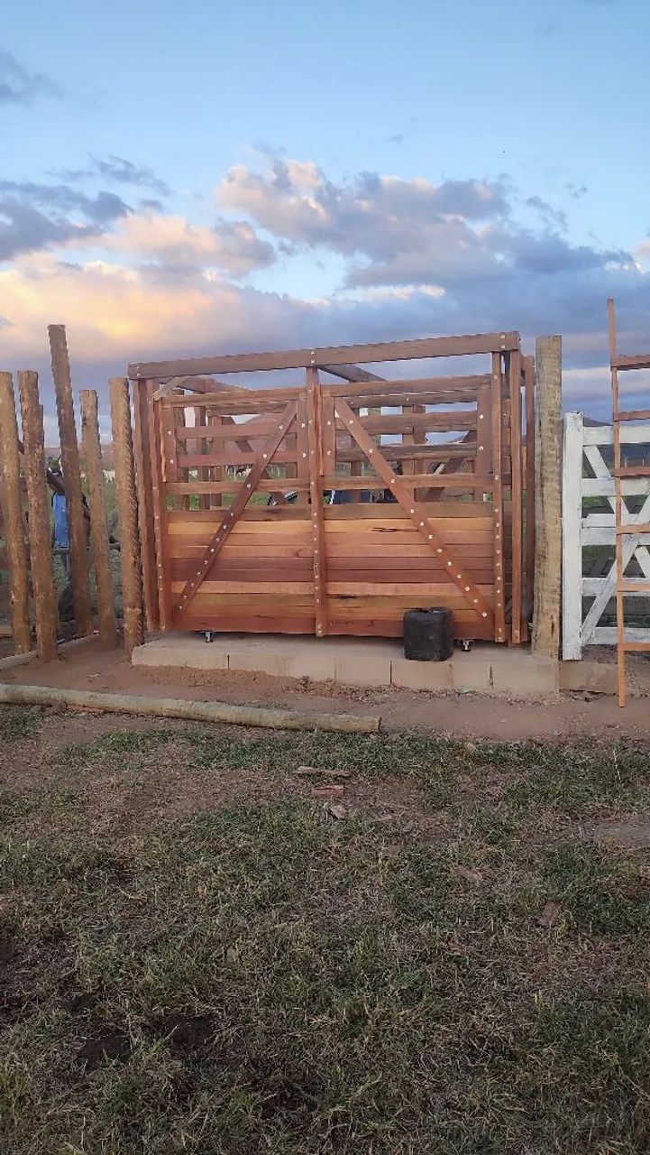 BALANÇA BOVINA - Foto 4