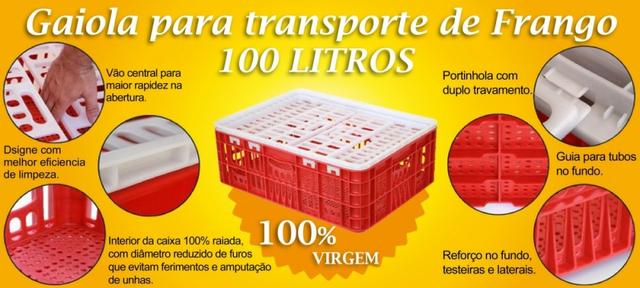 Gaiola para transporte de frango vivo 100L