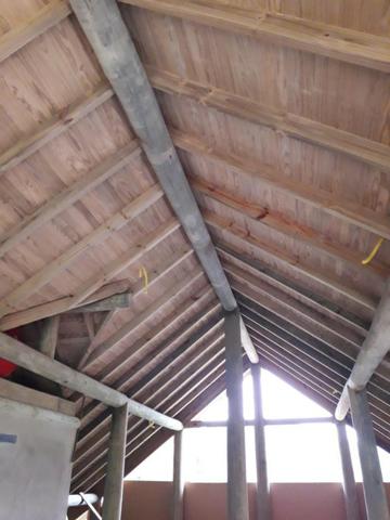 Sitio 23.000 mt² em Luiz Alves SC - Foto 4