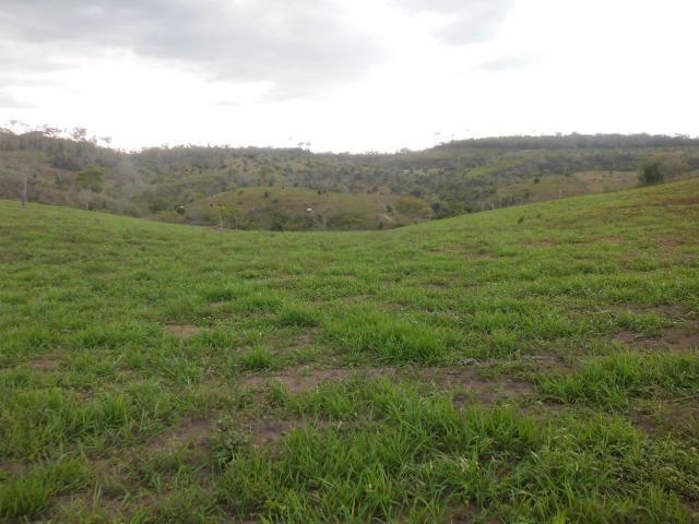 Fazenda em Mundo novo - Foto 8