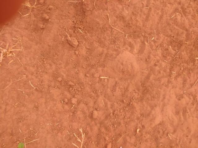 Fazenda Plana. 833 Alq. Iporá-GO. (Abaixo do Preço) - Foto 7