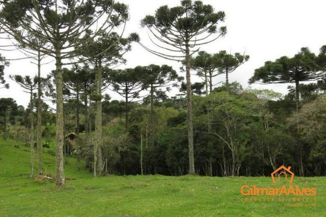 Chácara para Venda, 10.158,53 m², São Bento do Sul / SC, bairro Rio Vermelho - Foto 20
