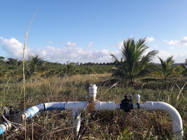 Fazenda 87,31 tarefas em Conde - Foto 7