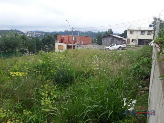 Terreno em caxias do sul - Foto 7