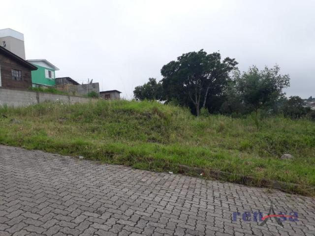 Terreno em caxias do sul
