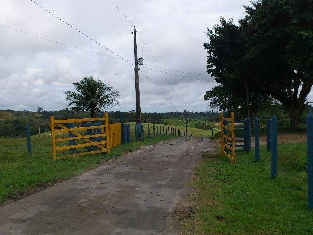 Fazenda na AM 010 - Foto 12