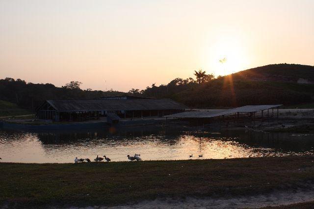 Fazenda na AM 010 - Foto 10