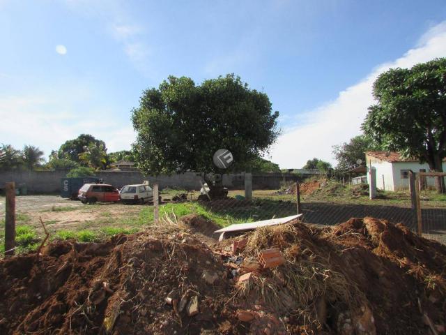Terreno comercial para locação, chácara santa antonieta (nova veneza), sumaré - te2594. - Foto 4
