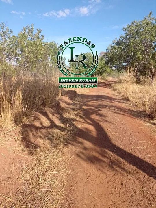 Fazenda 89 Alqueires Próximo a Palmas - Foto 5