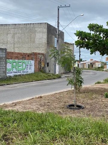 Oportunidade vendi Terreno na Av do Albano - Foto 3