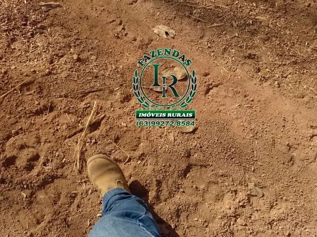 Fazenda 89 Alqueires Próximo a Palmas - Foto 4