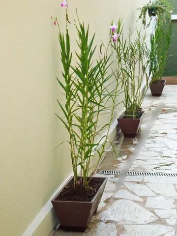 Floreira em concreto