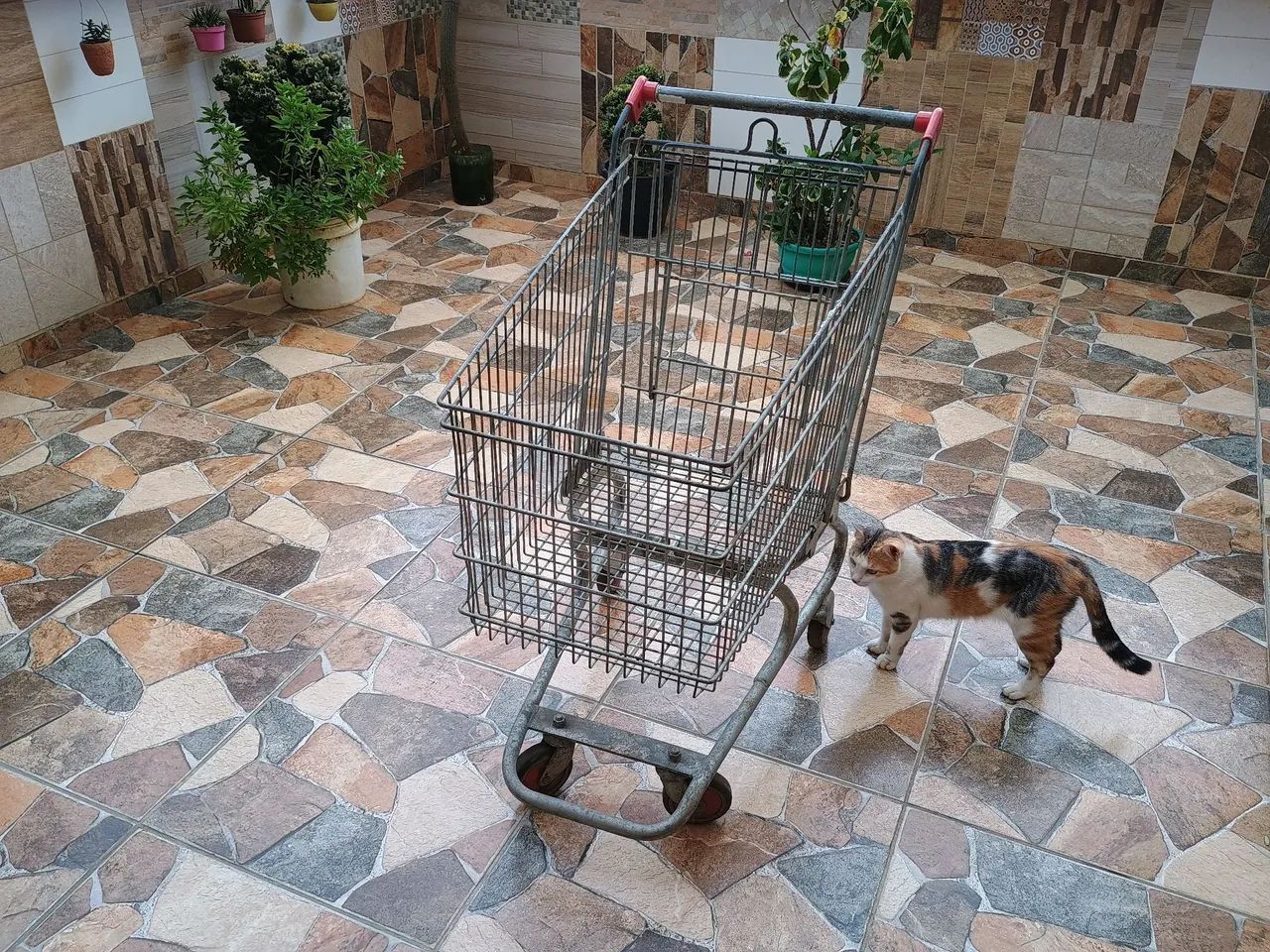 Carrinho de Compras Grande - Foto 2