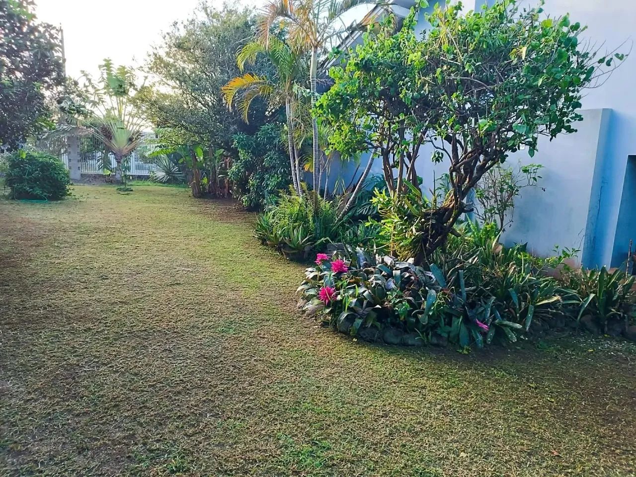 Terreno de esquina, com 429m², está situado no coração do bairro Medianeira - Foto 4