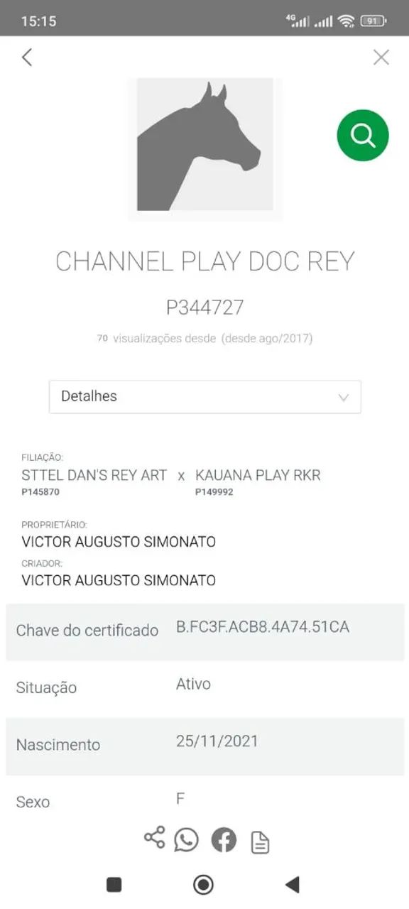 POTRA QM PURA PRA VENDER OU TROCAR - Foto 4