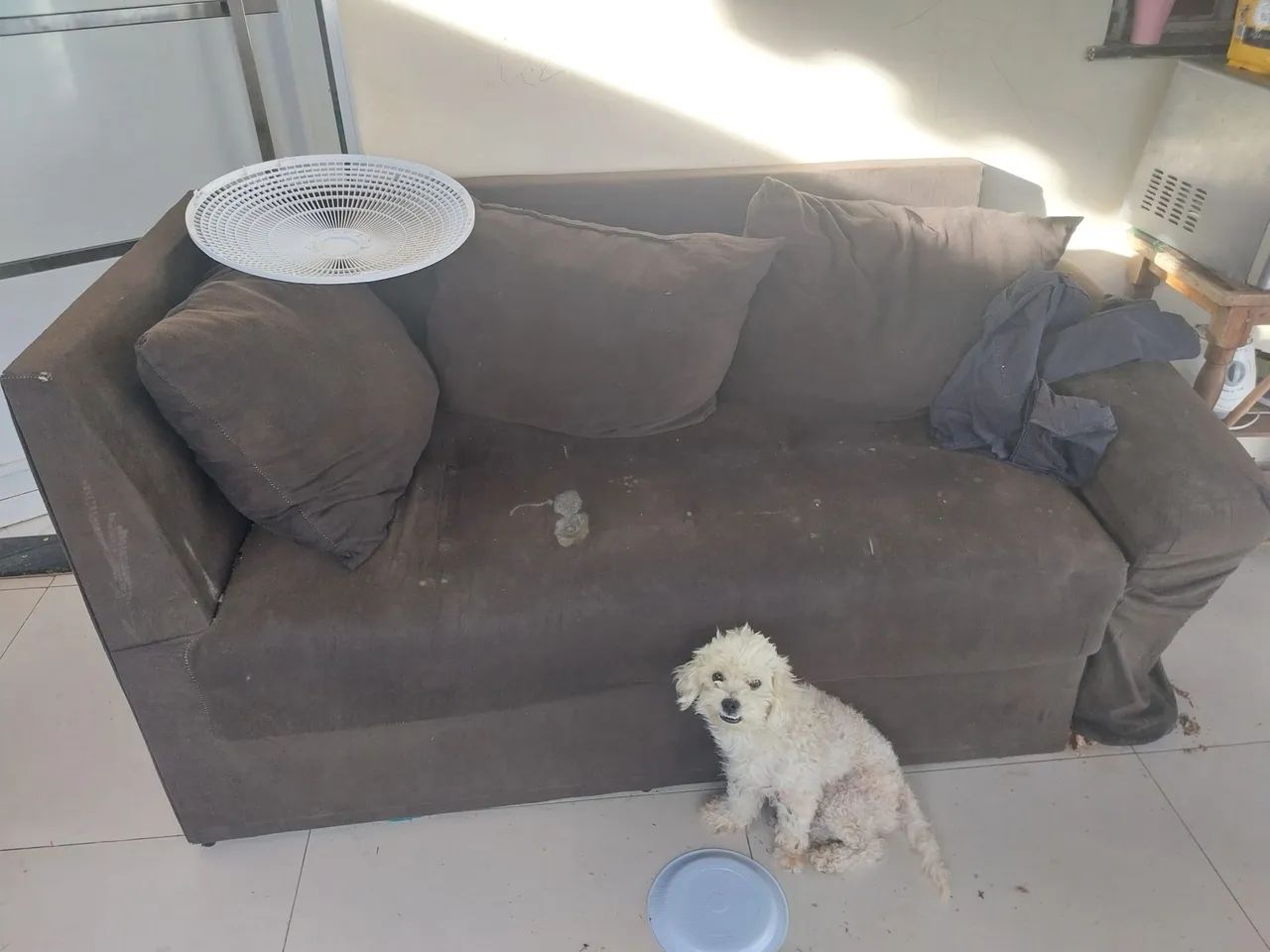 Sofa64739711578371121