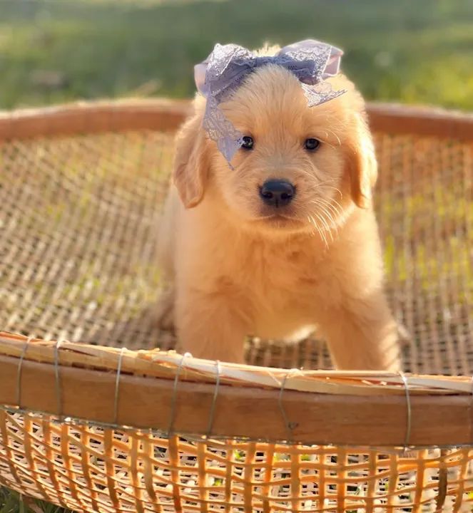 Beleza de sobradinho 