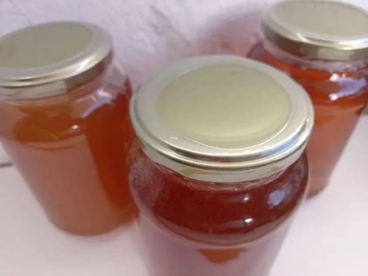 Mel de abelha puro - 100% natural - Foto 2