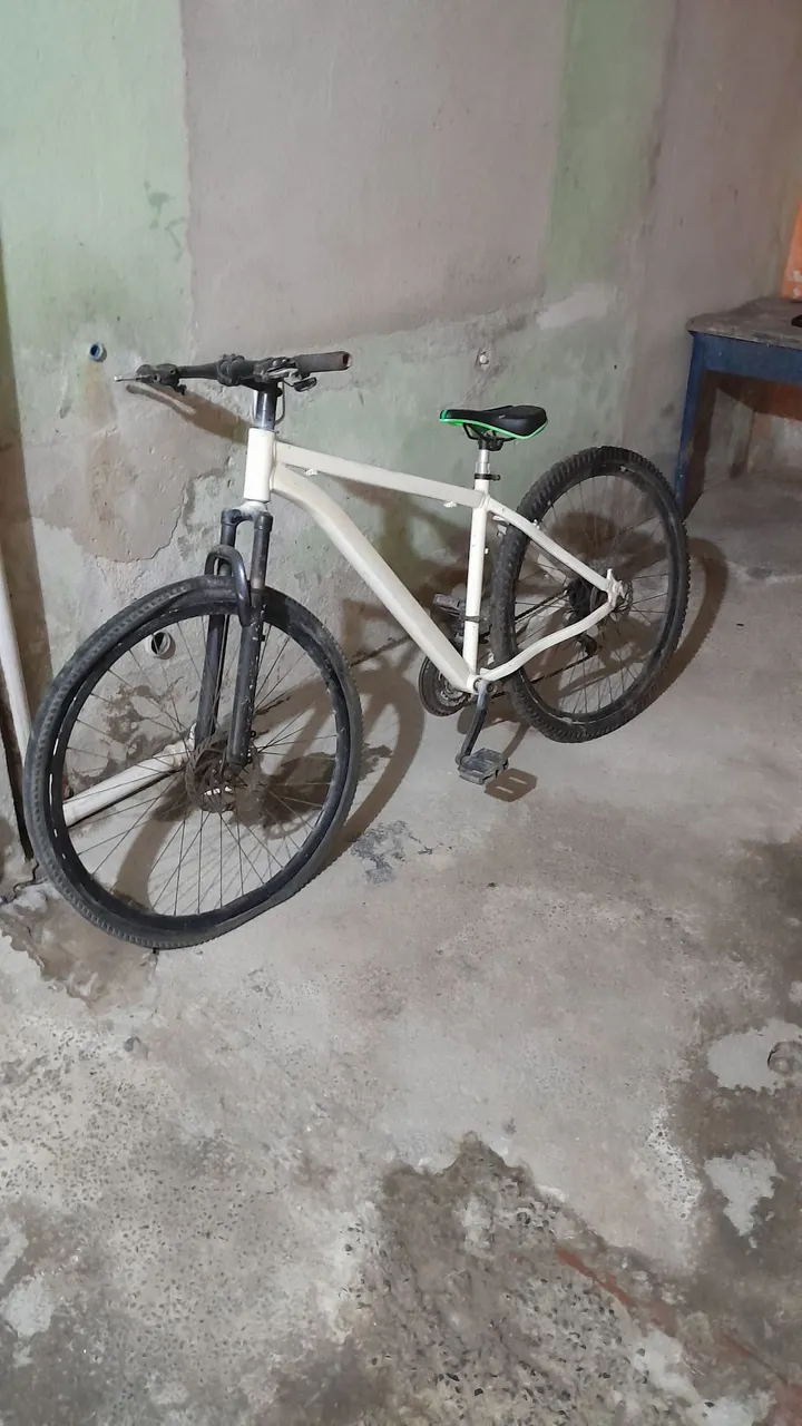 Bicicleta Aro 29