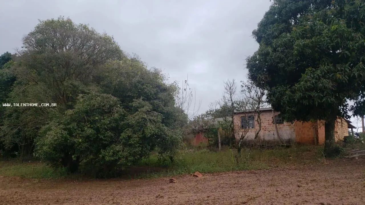 Área Rural para Venda em Faxinal - Foto 5