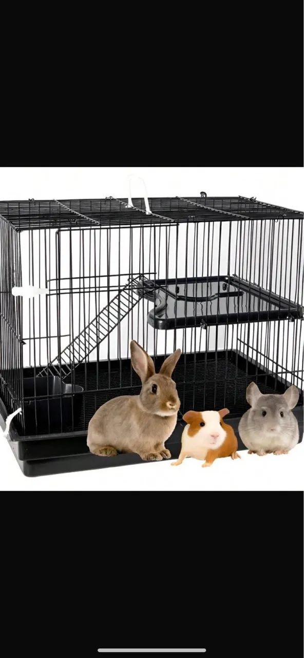 gaiola roedores  - Foto 2