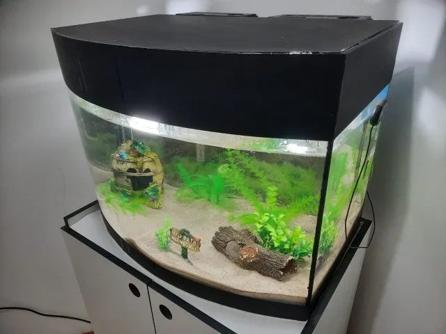 Aquário Curvo lindo 80 litros mais equipamentos, pronto para uso. - Foto 2