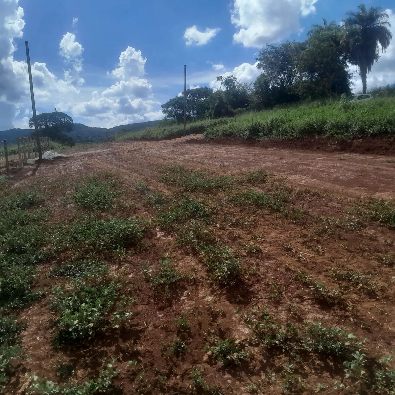 Terreno com área verde em região tranquila