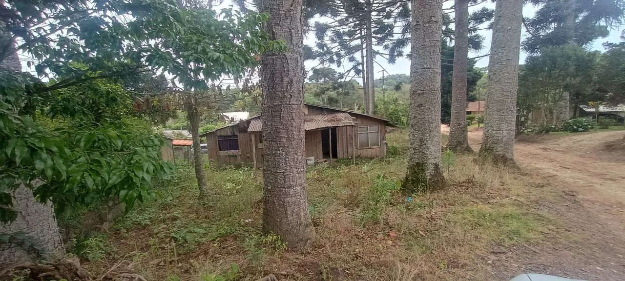 Pequena chácara  - Foto 6