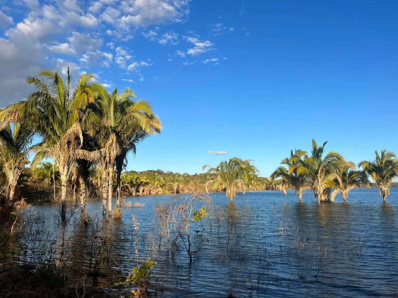 Lotes na Serra da mesa  - Foto 3