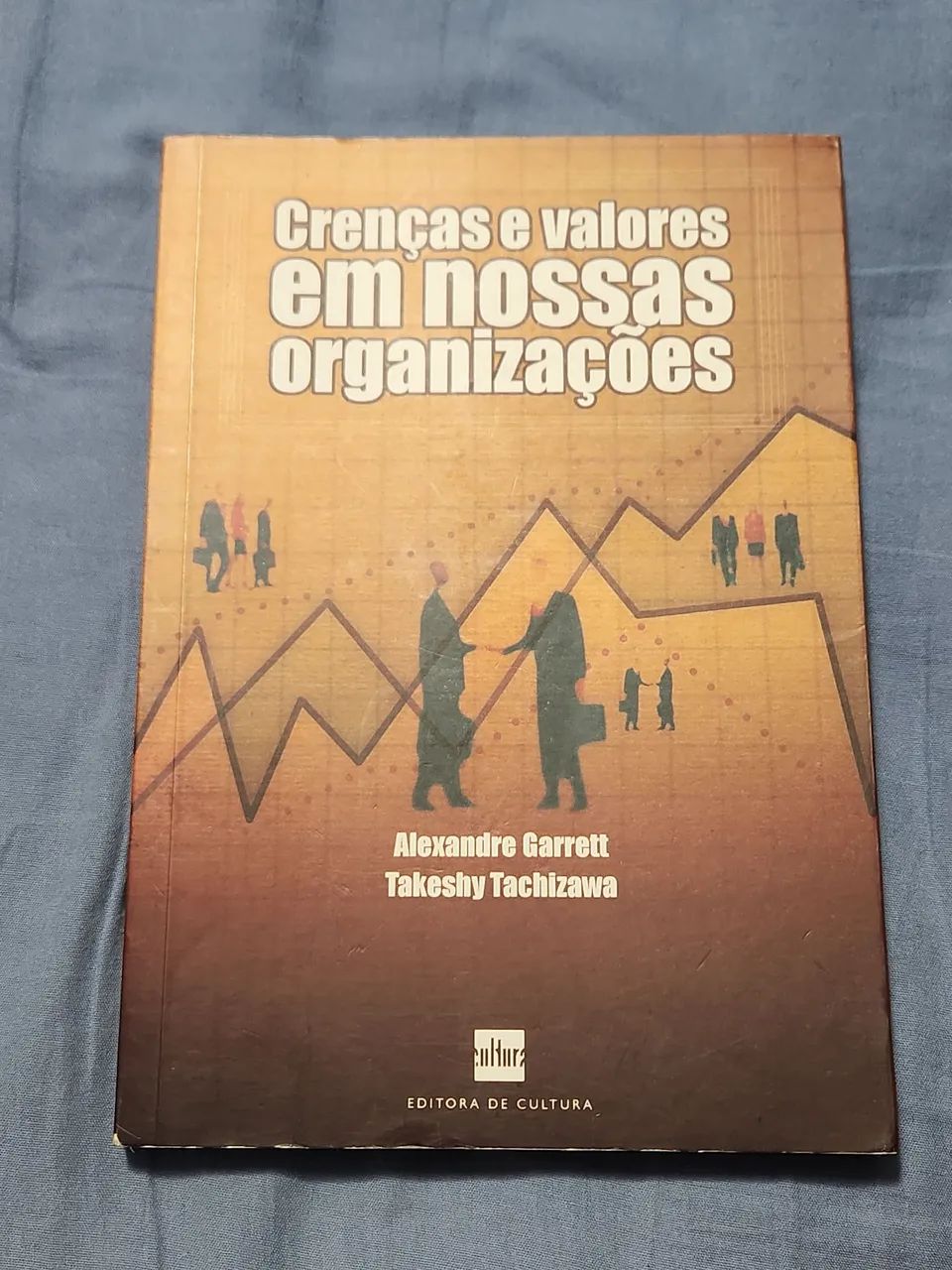 Livro Creencias e Valores em Nossas Organizações