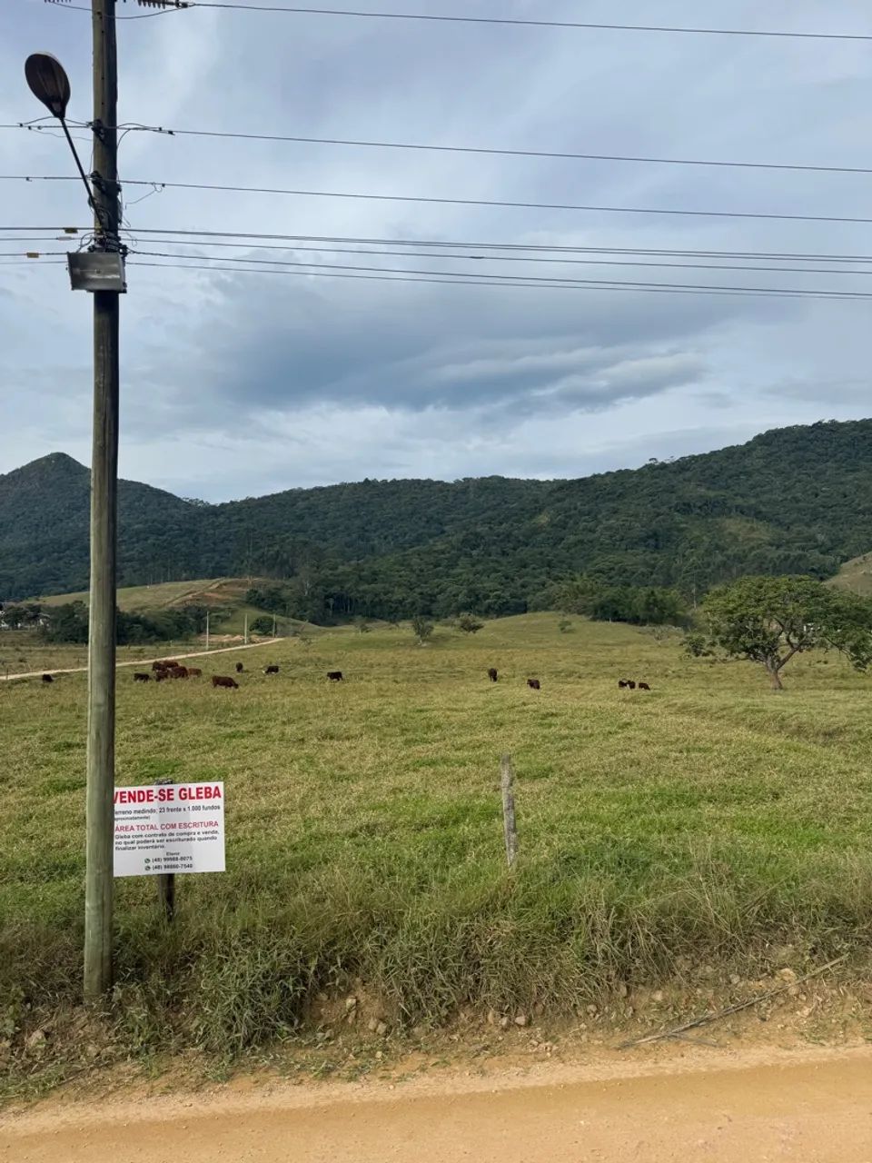 Terreno sítio timbé Tijucas SC 34.400m2 - Foto 2