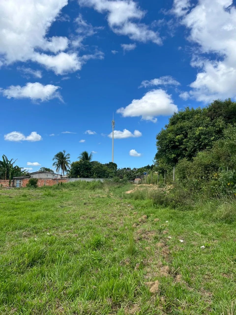 Vendo área estrada tapera x Lagoa de Cima. - Foto 2