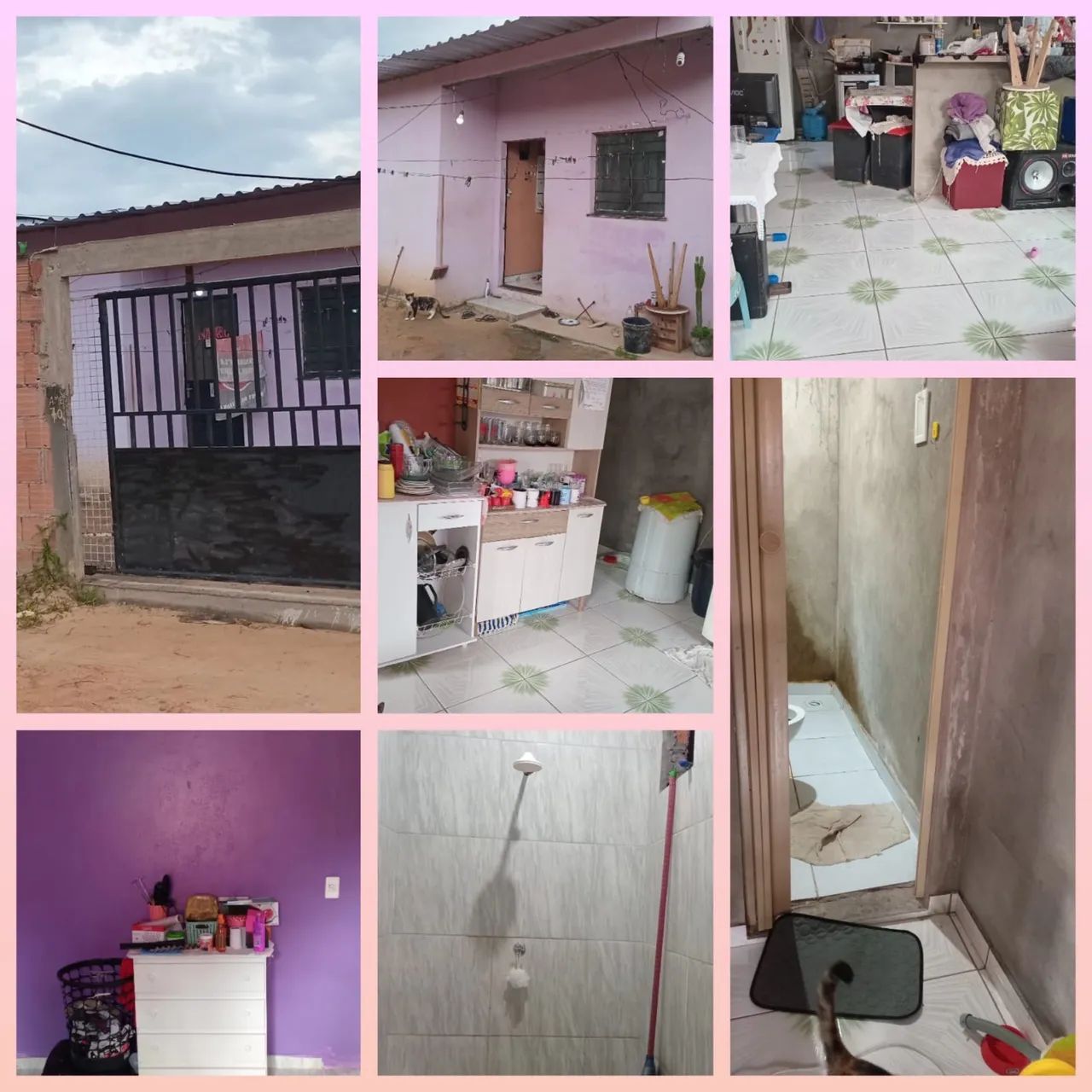 Foto - Manaus - Colônia Terra Nova