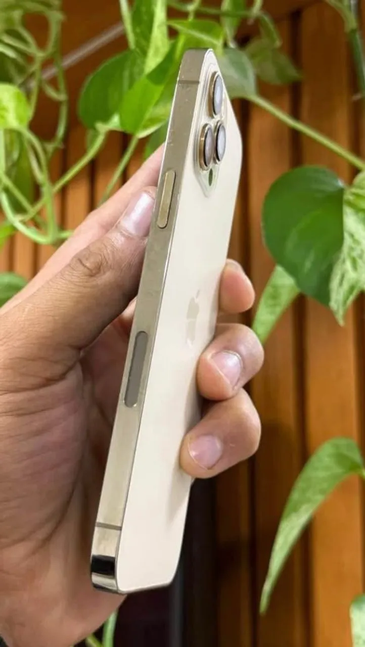 iPhone 12 pro Max Gold vem conferir