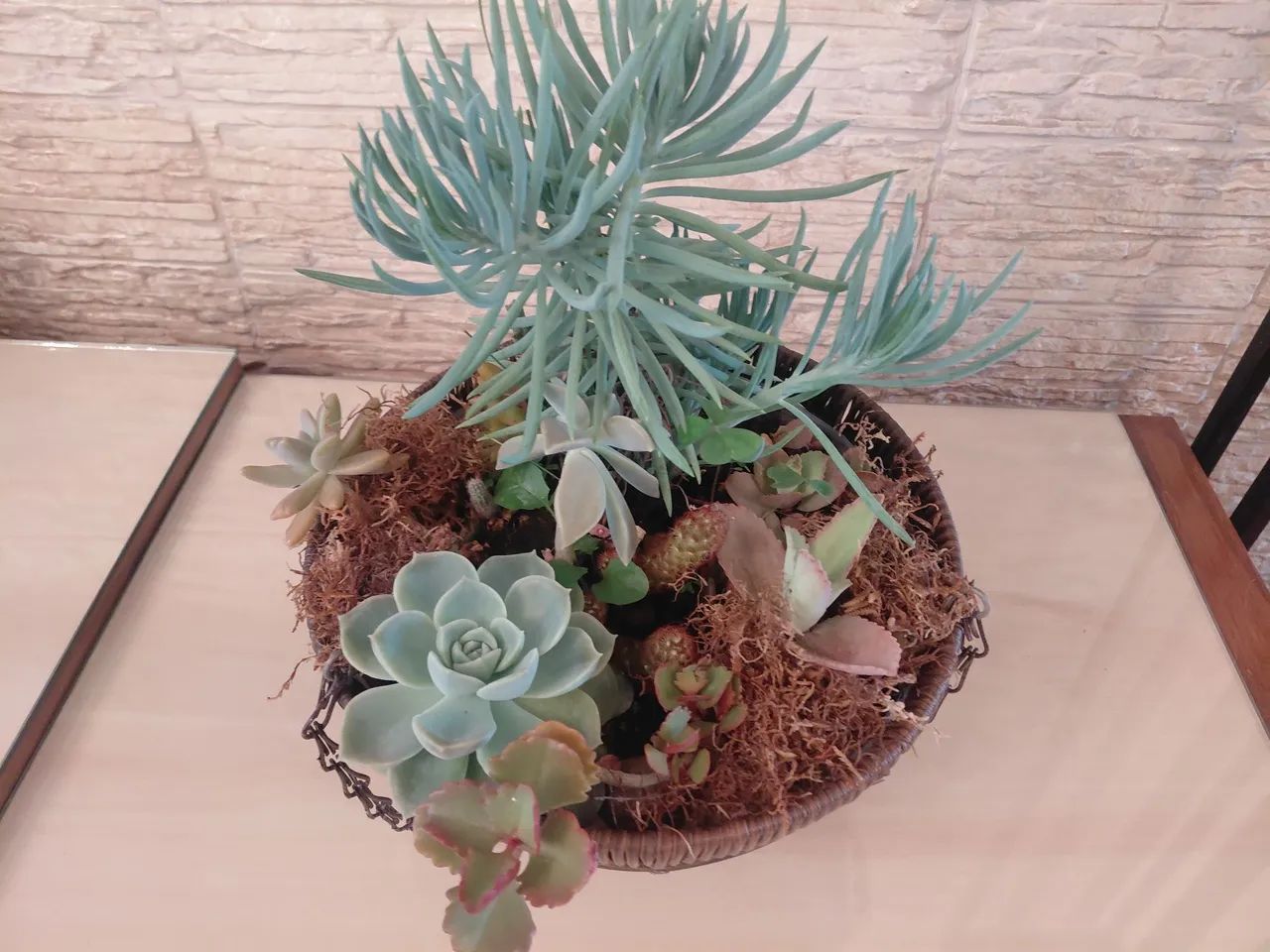 Jardinagem 