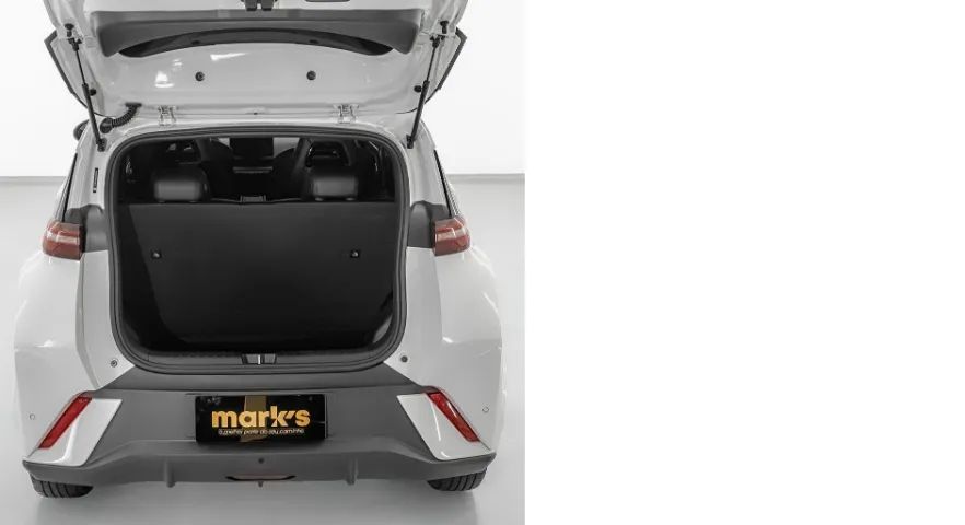 BYD Dolphin Mini (Elétrico) 2025 - Foto 4