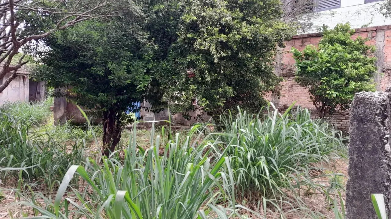LOTE EM NOVA SUÍSSA, BELO HORIZONTE - MG - Foto 3