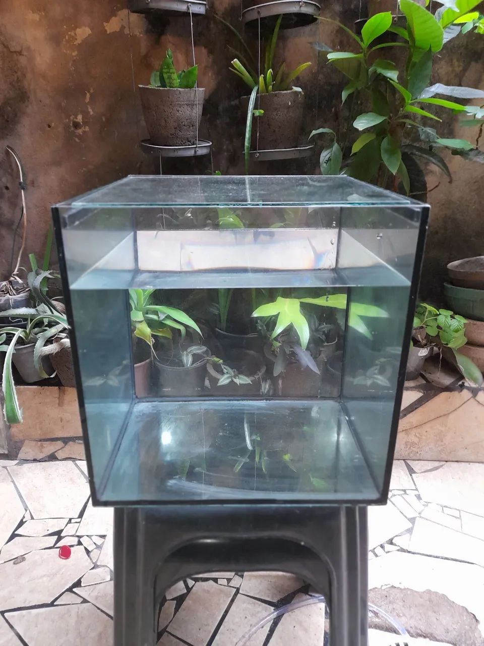 Aquário 30 litros cubo 31x31x31 novo!!
