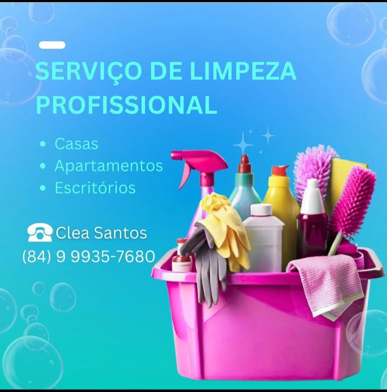 Domestica,diarista