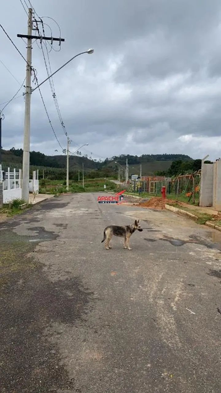 Lotes de 250 m² em Coimbra - MG - Foto 5
