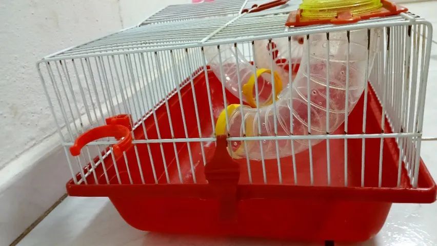 Gaiolinha Hamster + Serragem - Foto 4