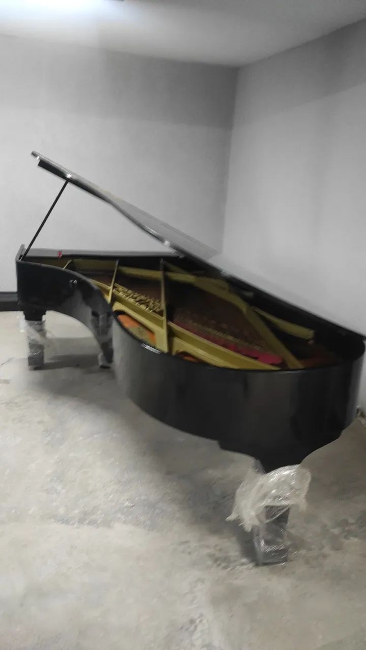 Gran Piano August Forster cauda inteira Mod Orquestral  - Foto 5