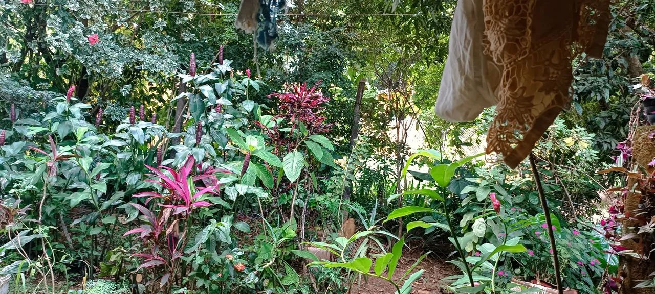 Vendo vendo uma casa - Foto 2