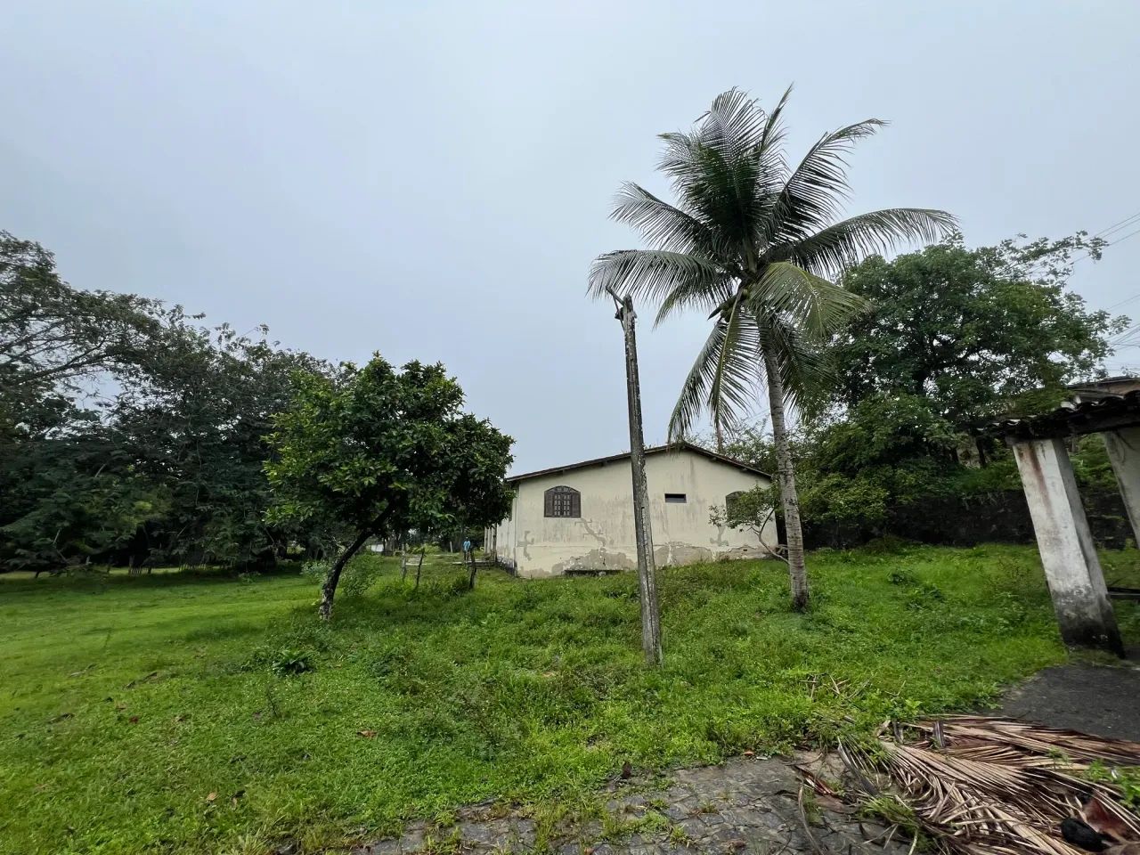 Sítio/Chácara para venda Guabiraba/Paulista - Foto 4